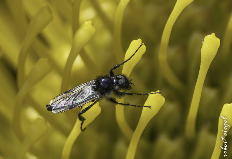 events 2026 - patricia koren celebration